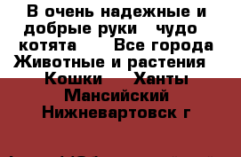 В очень надежные и добрые руки - чудо - котята!!! - Все города Животные и растения » Кошки   . Ханты-Мансийский,Нижневартовск г.